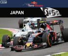 Carlos Sainz Jr., 2016 Japonya Grand Prix